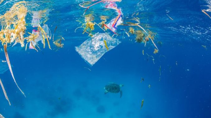 Marine flora mixes with plastic packaging at the water's surface. Below, a green sea turtle swims away from the trash.